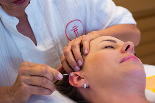 Atendimento com Tereza Zanchi - aprox. 1h